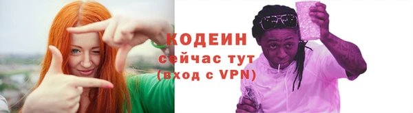 дурь Лабытнанги