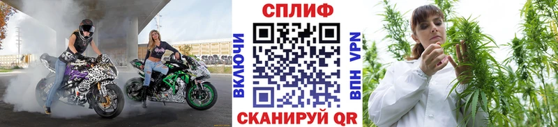 купить   Монино  МАРИХУАНА тримм 